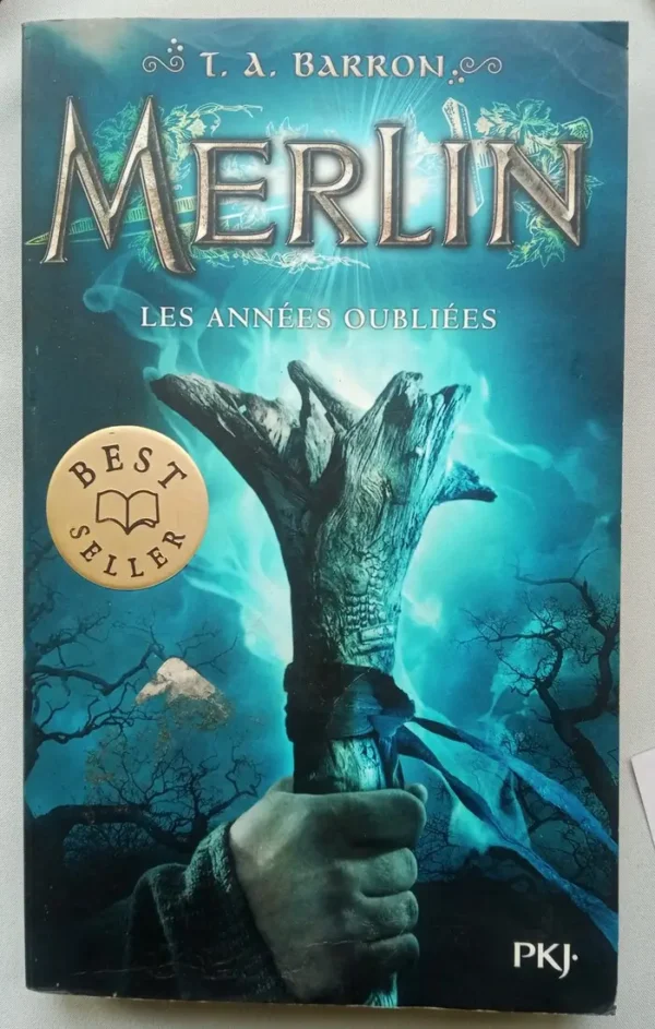 Merlin ( 2 tomes ) : Les années oubliées  - Les sept pouvoirs de l'enchanteur