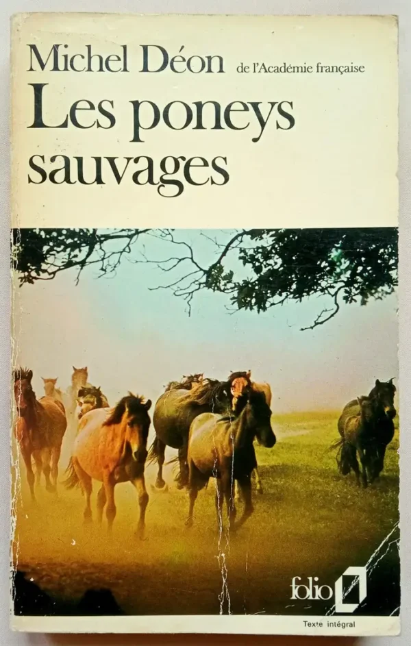 Les poneys sauvages