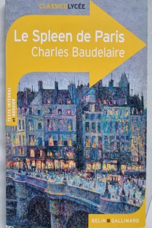Le Spleen de Paris