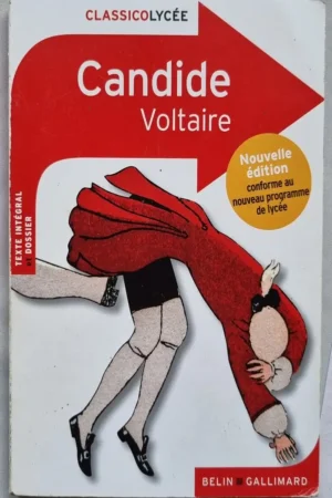 Candide Voltaire ( Analyse )