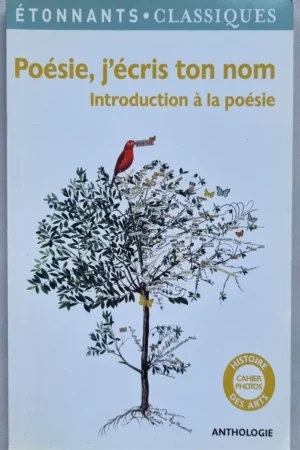 Poésie, j'écris ton nom ( Introduction à la poésie )