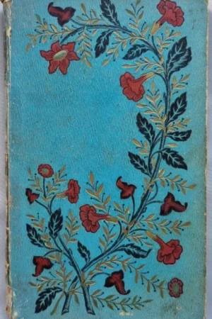 Bluette et Coquelicot