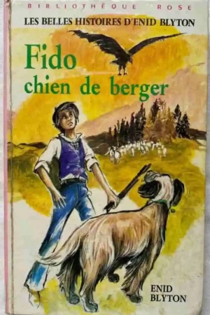 Fido, chien de berger