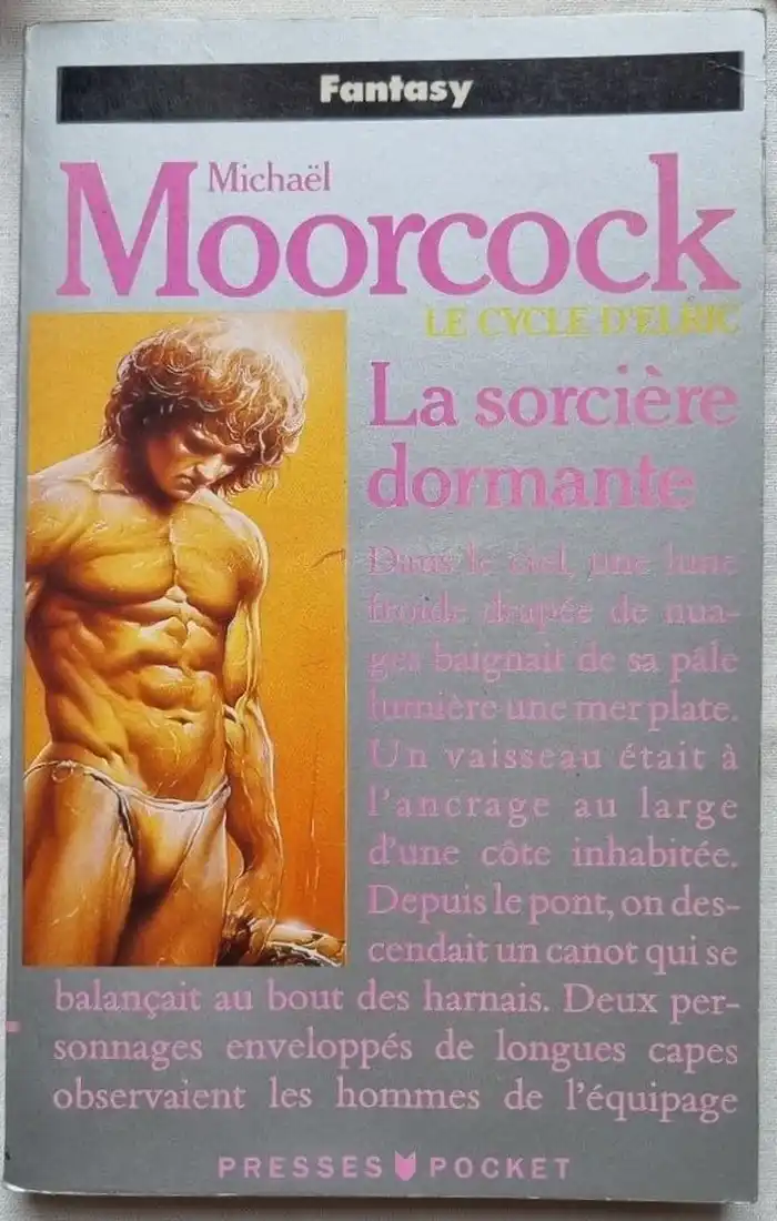 La sorcière dormante ( Tome 5 )