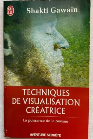 Techniques de visualisation créatrice